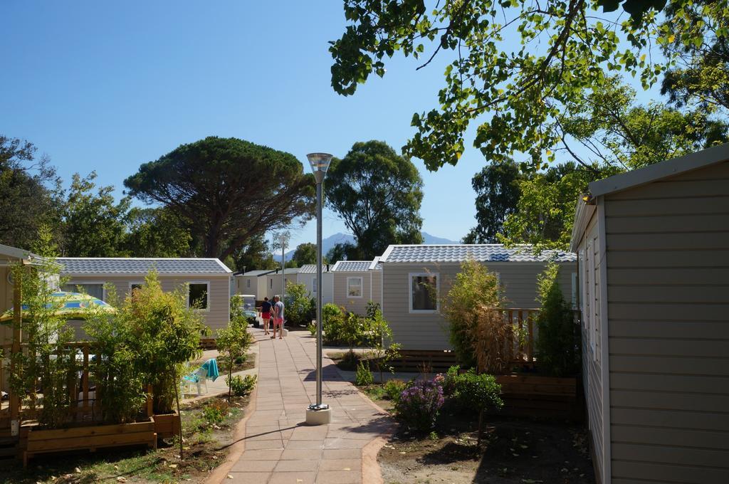 Camping International Calvi  Exterior photo