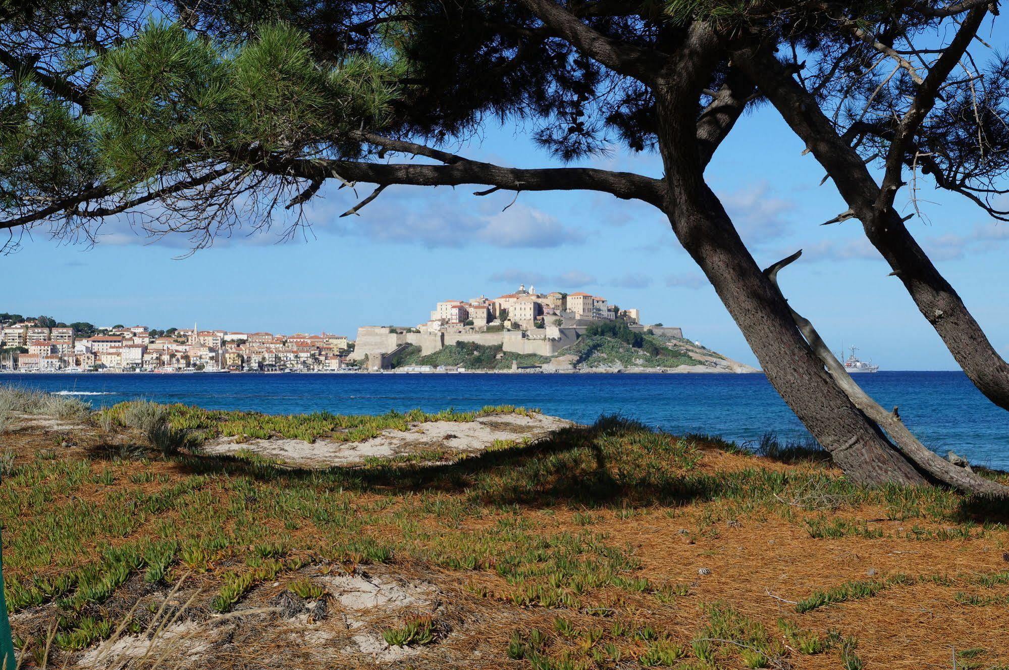 Camping International Calvi  Exterior photo